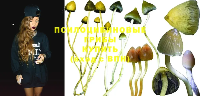 MEGA как войти  Мамоново  Псилоцибиновые грибы MAGIC MUSHROOMS 